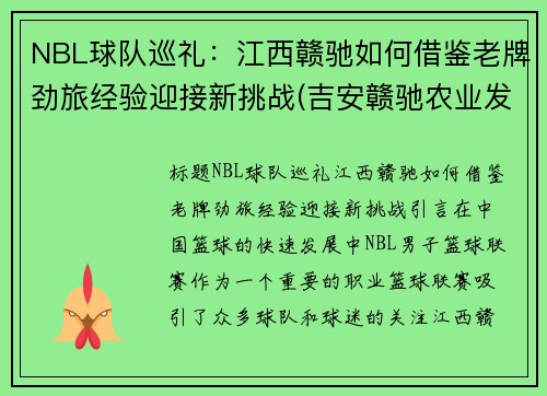 NBL球队巡礼：江西赣驰如何借鉴老牌劲旅经验迎接新挑战(吉安赣驰农业发展有限公司)