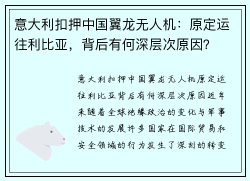 意大利扣押中国翼龙无人机：原定运往利比亚，背后有何深层次原因？